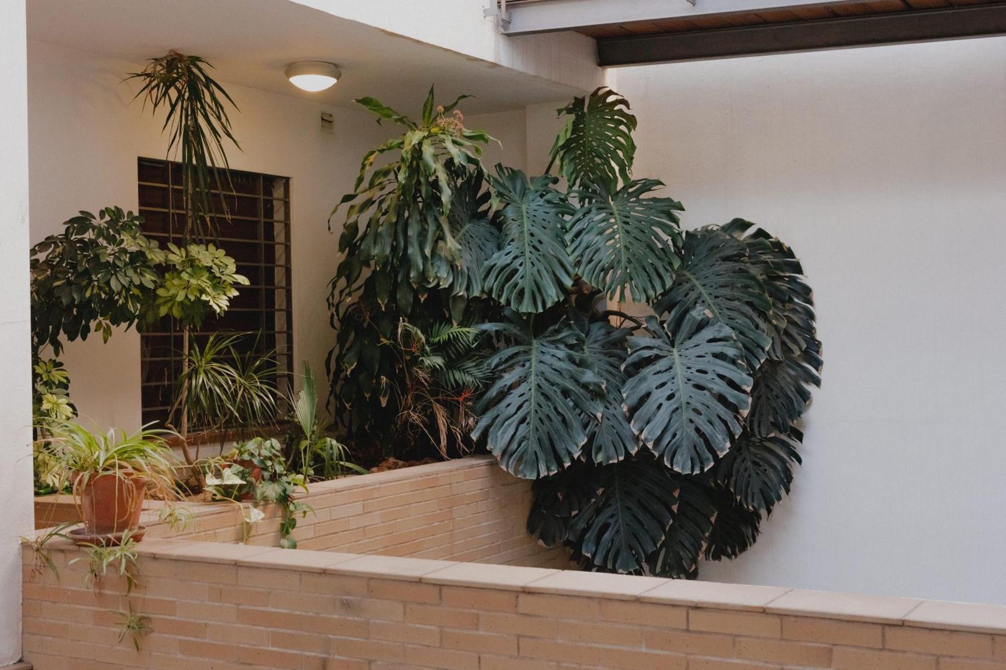 Suite Zamorano Málaga Esterno foto